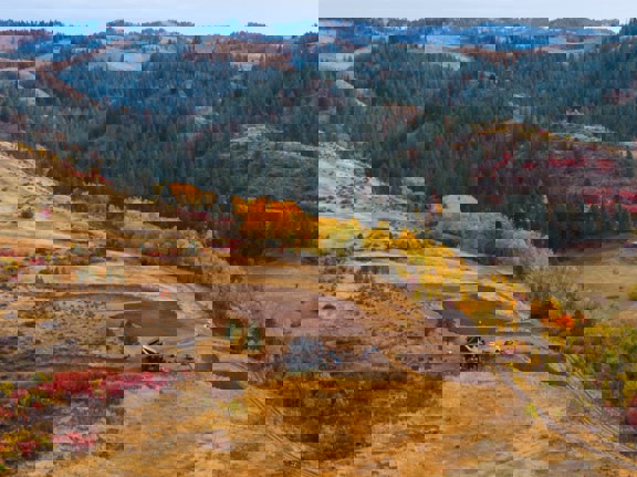 Council Mountain Ranch