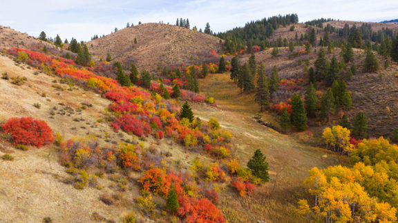 Council Mountain Ranch