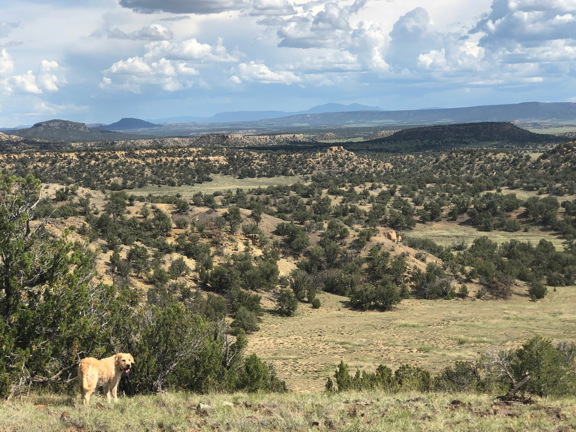Elk Ridge Ranch