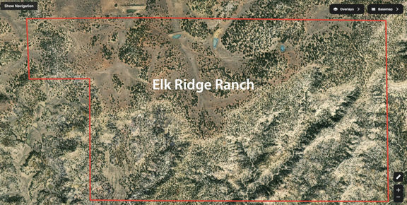 Elk Ridge Ranch