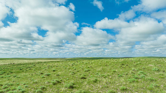 Squirrel Creek Land and Water