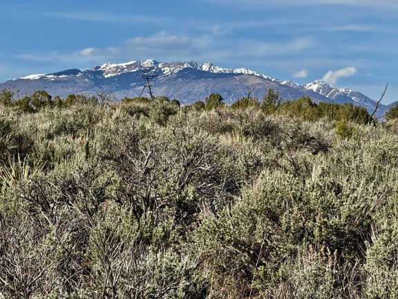 Majestic Elk Ranch