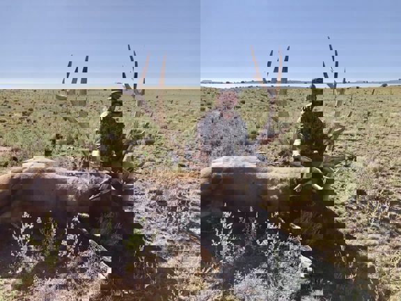 Catron County’s Cat Hill Trophy Elk and Cattle Ran