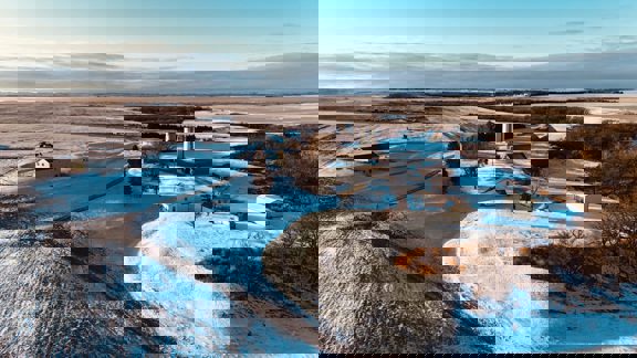 Oak Creek Farm and Hunt