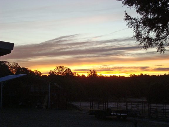 3 H RANCH