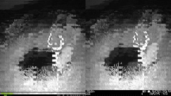 Strawberry Hunting and Ag Ranch