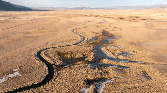 Diamond Investment Ranch