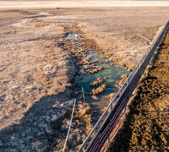 Diamond Investment Ranch