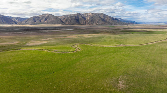 Diamond Investment Ranch