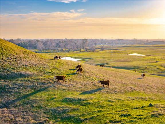 Butte Valley Springs