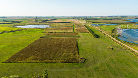 South Dakota Pheasant Acres East Unit