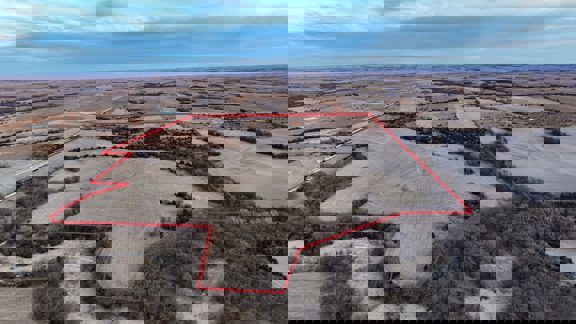 Lovewell Wildlife Reserve