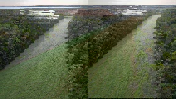 Scotts Hill Farm with Tillable