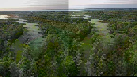 Scotts Hill Farm with Tillable