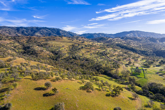 Black Oaks Ranch