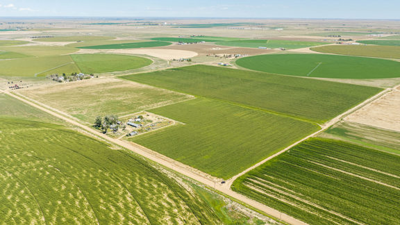 Keenesburg Irrigated  Land and Water, CO