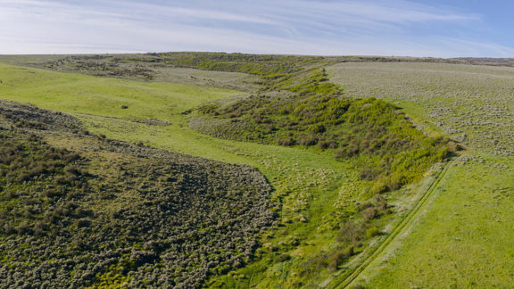 Lorenz Ranch