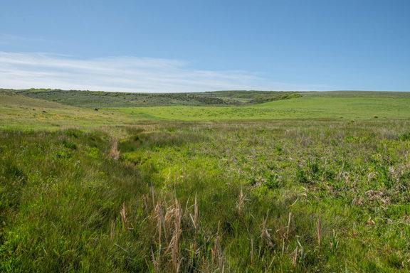 Lorenz Ranch