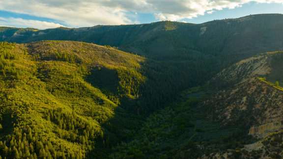 Elk Wallows Ranch