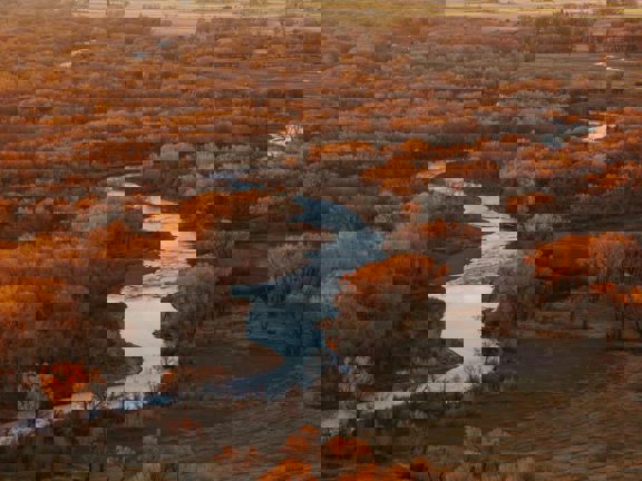 Rio Grande Sanctuary Ranch