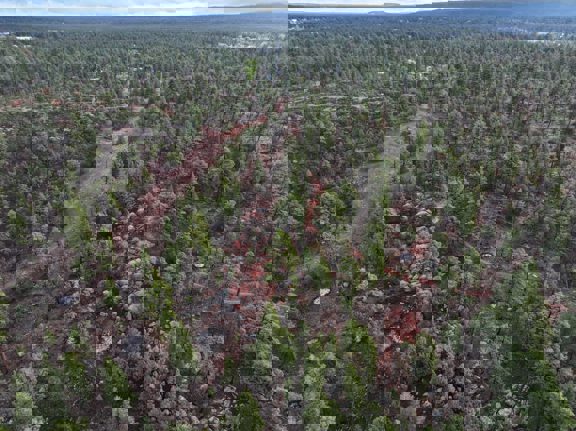 Pinetop Development Ground