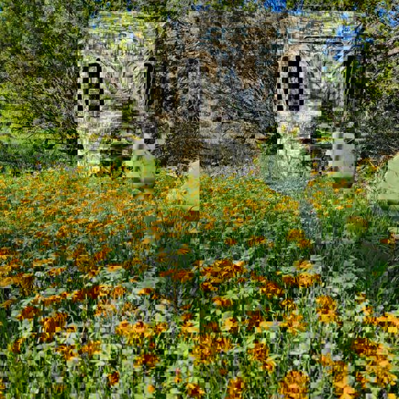 Rocky Creek Hill Country Ranch