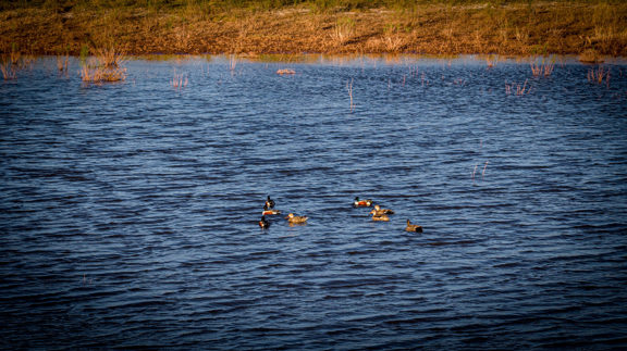 Lago Vista Ranch