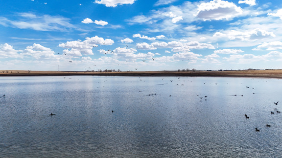 Cottonwood Creek Farm