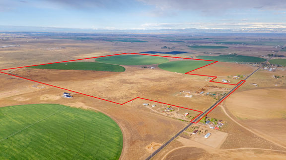 GGW 550 Farm