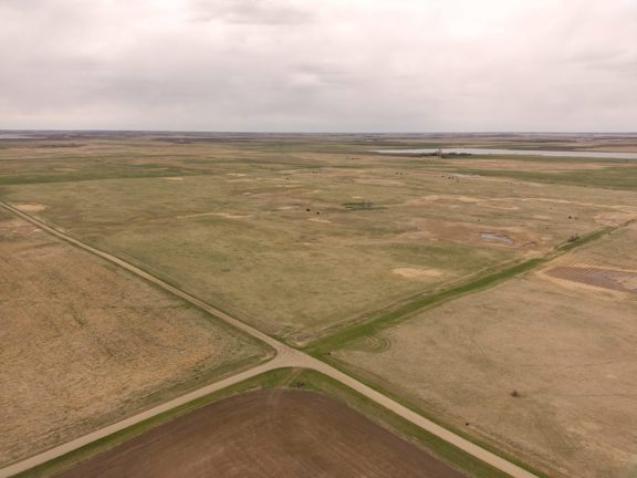 478± Acres | Income-Producing CRP/CREP & Recreatio