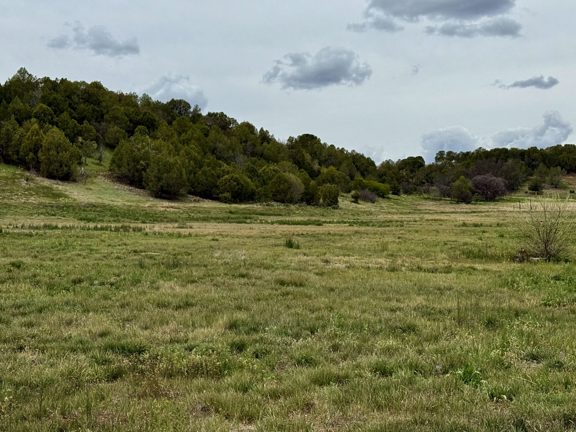 River Valley Reserve Phase II