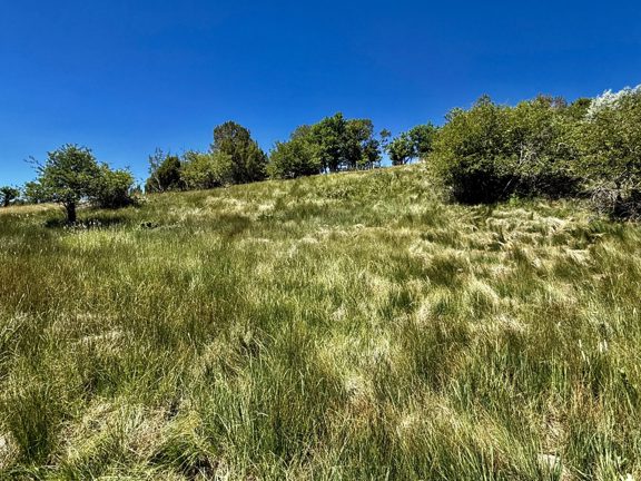 Valley View Ranch