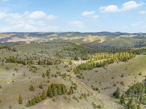 Baker/Malheur 1676