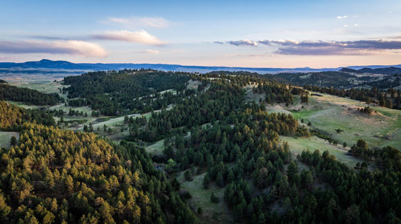 Redwater Ranch | 905.6±  Acres | Live Water | Crop