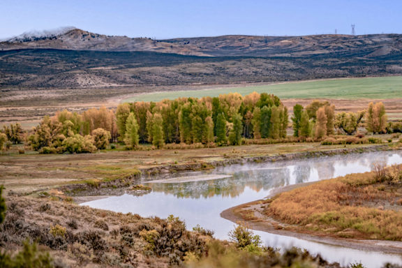Thunder S Ranch