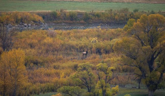 Thunder Water Ranch