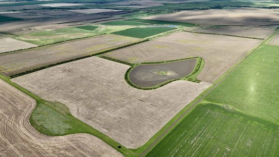 Elsassers Ringneck Reserve
