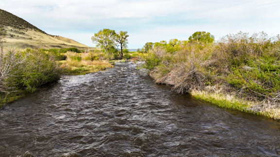 East River Run  on The Little Laramie