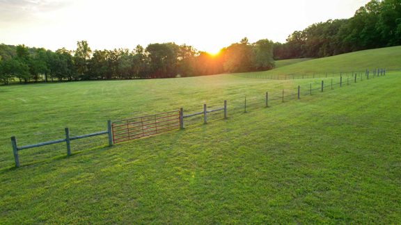 Wades Branch Farm