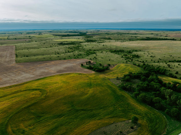 Darwin’s Pure Joy Pasture Cropland 469+-