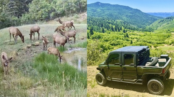 Chromo Mountain Elk, Land and Cattle Ranch