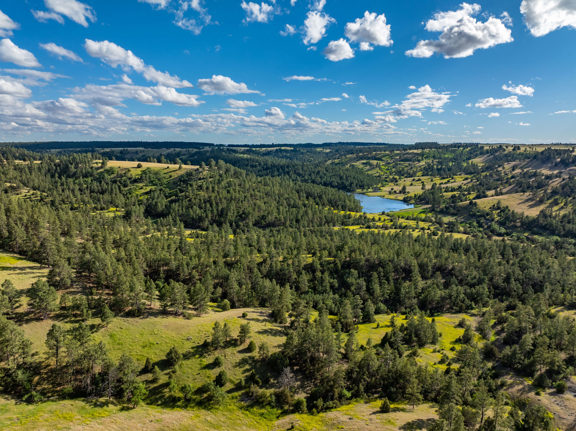 New Haven Ranch