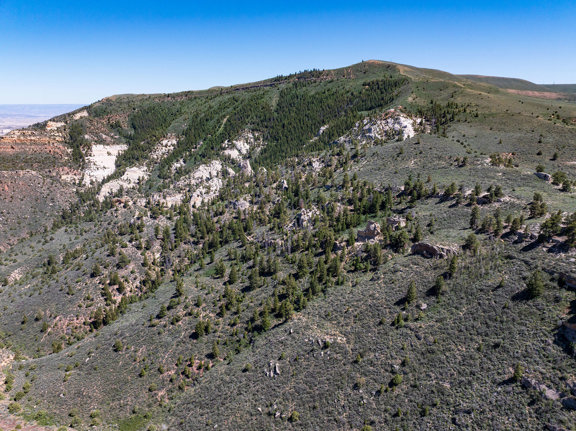 Dry Fork Little Mountain Ranch