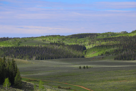 Long Park Ranch