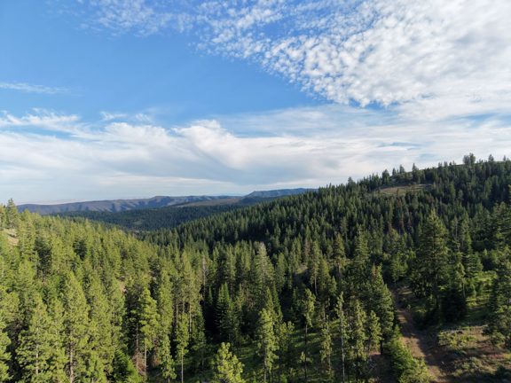 Rock Creek Elk Camp