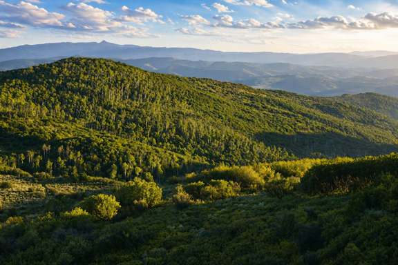 Spring Gulch Ranch
