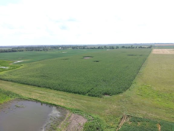 137.32± Acres | Greenfield Township | Brown County