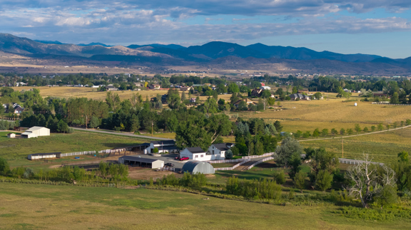 Little Thompson Estate