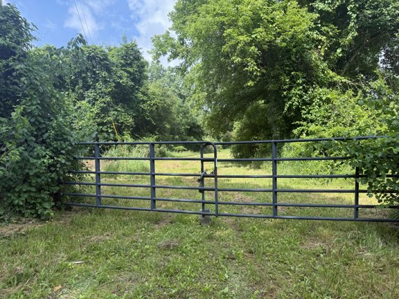 Hagerman Road – Addison Township 60 Acres