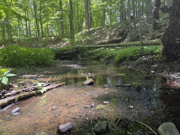 Hagerman Road – Addison Township 60 Acres
